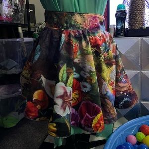Alice in wonderland velour circle skirt with holographic lining and pockets